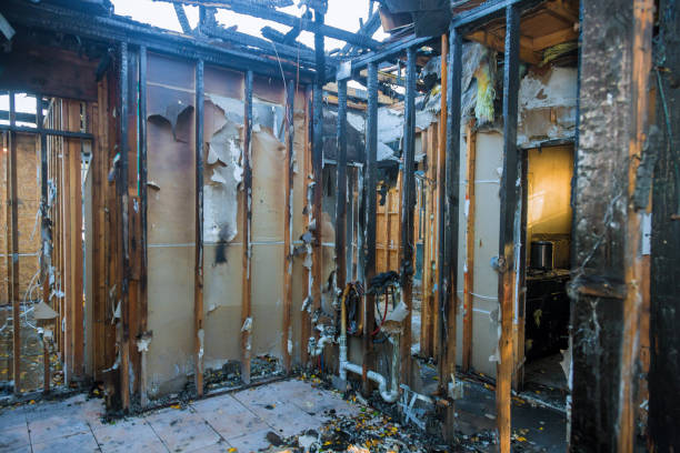 Professional Structural Rebuild technician working in Columbus, TX